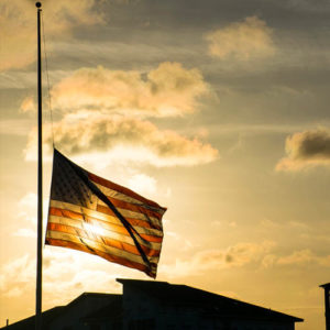 TPS60: Parkland Denials