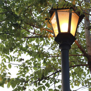 TPS60: 30 Years on The Public Square&reg;!