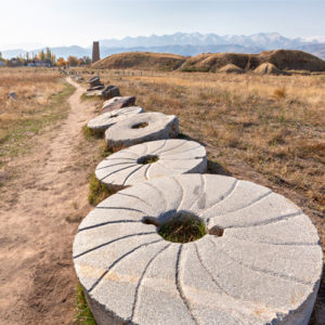 TPS60: Millstones
