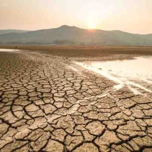 TPS Express: Climate Change — More to Know