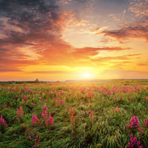 TPS60: The Greater Awakening