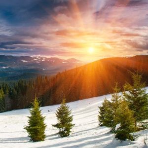 TPS Express: Christmas in America Update