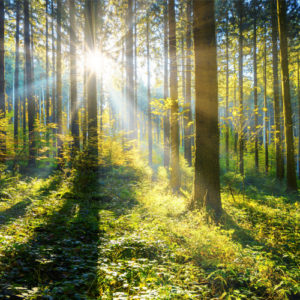 TPS60: Has God Given Up on America?, Part I