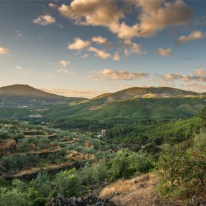 TPS60: The Great Commission