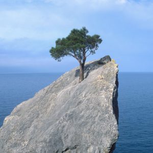 TPS 60: Without Hope