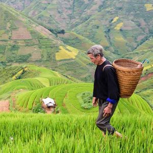 TPS 60: China’s Population Dilemma