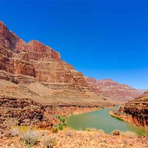 TPS 60: Tribalism – Lose God, Lose Man