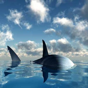 TPS 60: Gambling and Good Government Don’t Mix